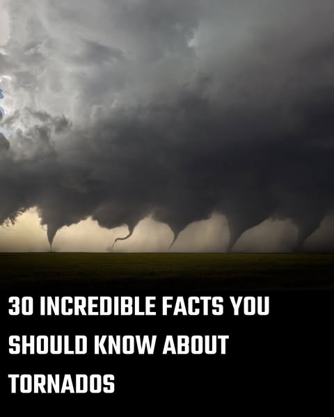 Incredible Things That Can Happen During A Tornado